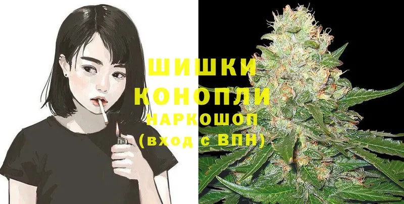 Конопля OG Kush  блэк спрут как войти  Волосово 